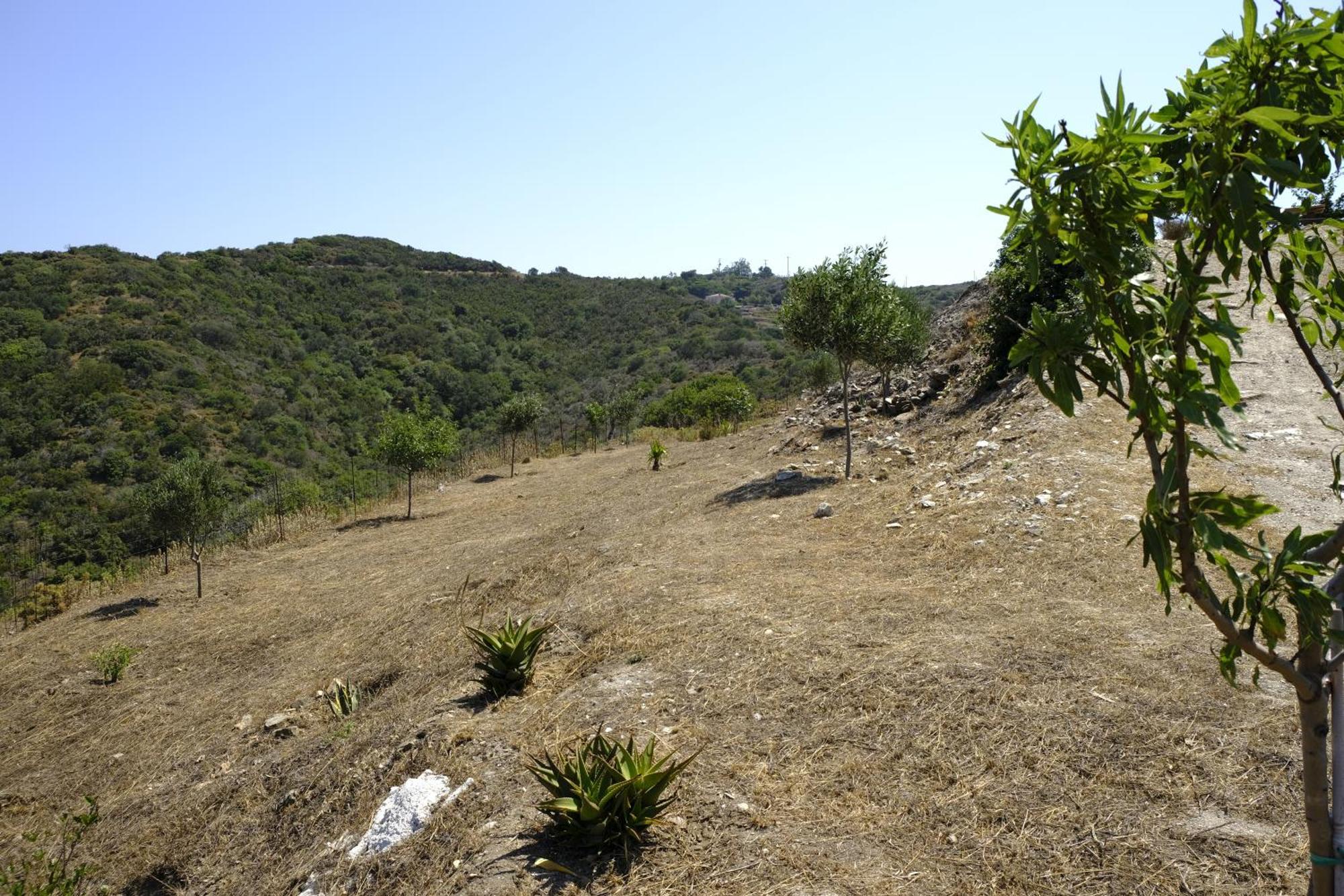 Hill'S Barbacane Potamos  Esterno foto